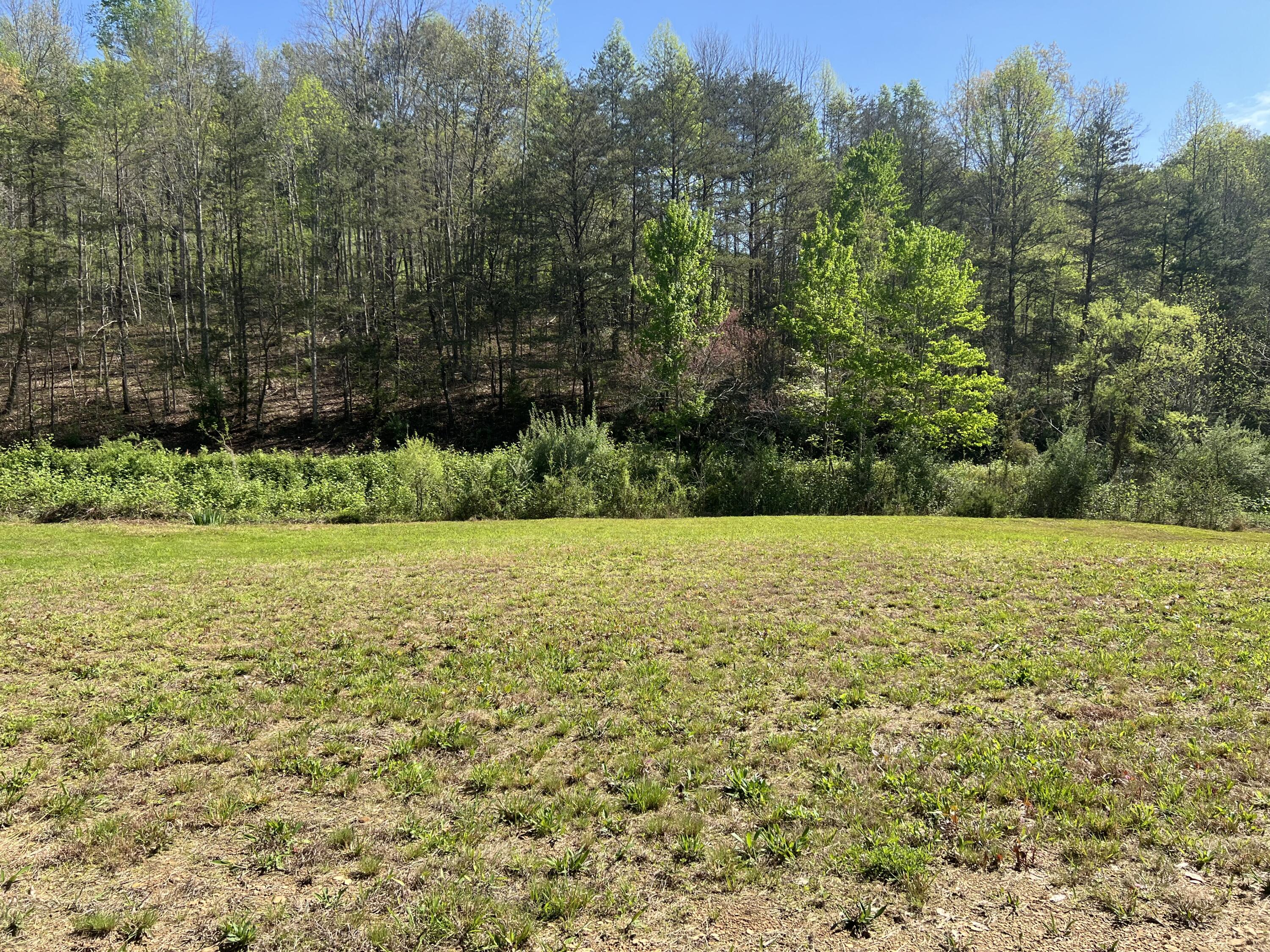 397 Miller Branch Road Bimble, KY 40915 - Photo 20 of 26 MBR19