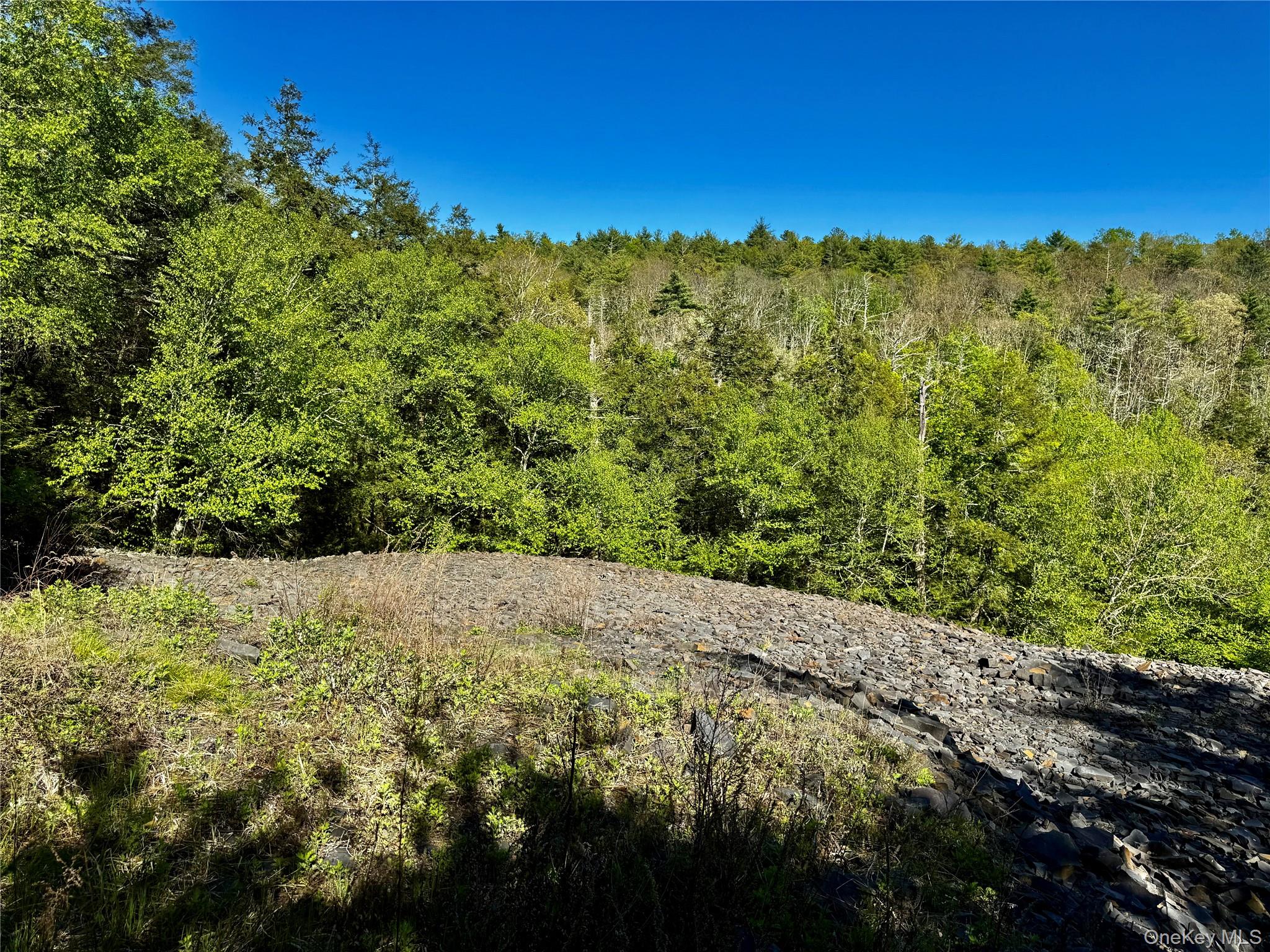 101 Stone Road Hurley, NY 12491 - Photo 2 of 24 a view of a field with a tree in the background