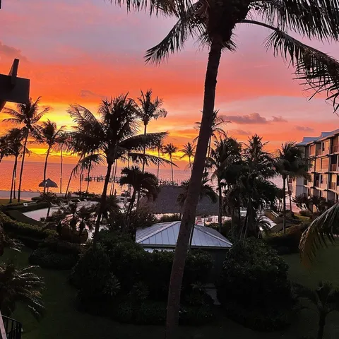 a view of a backyard of a house