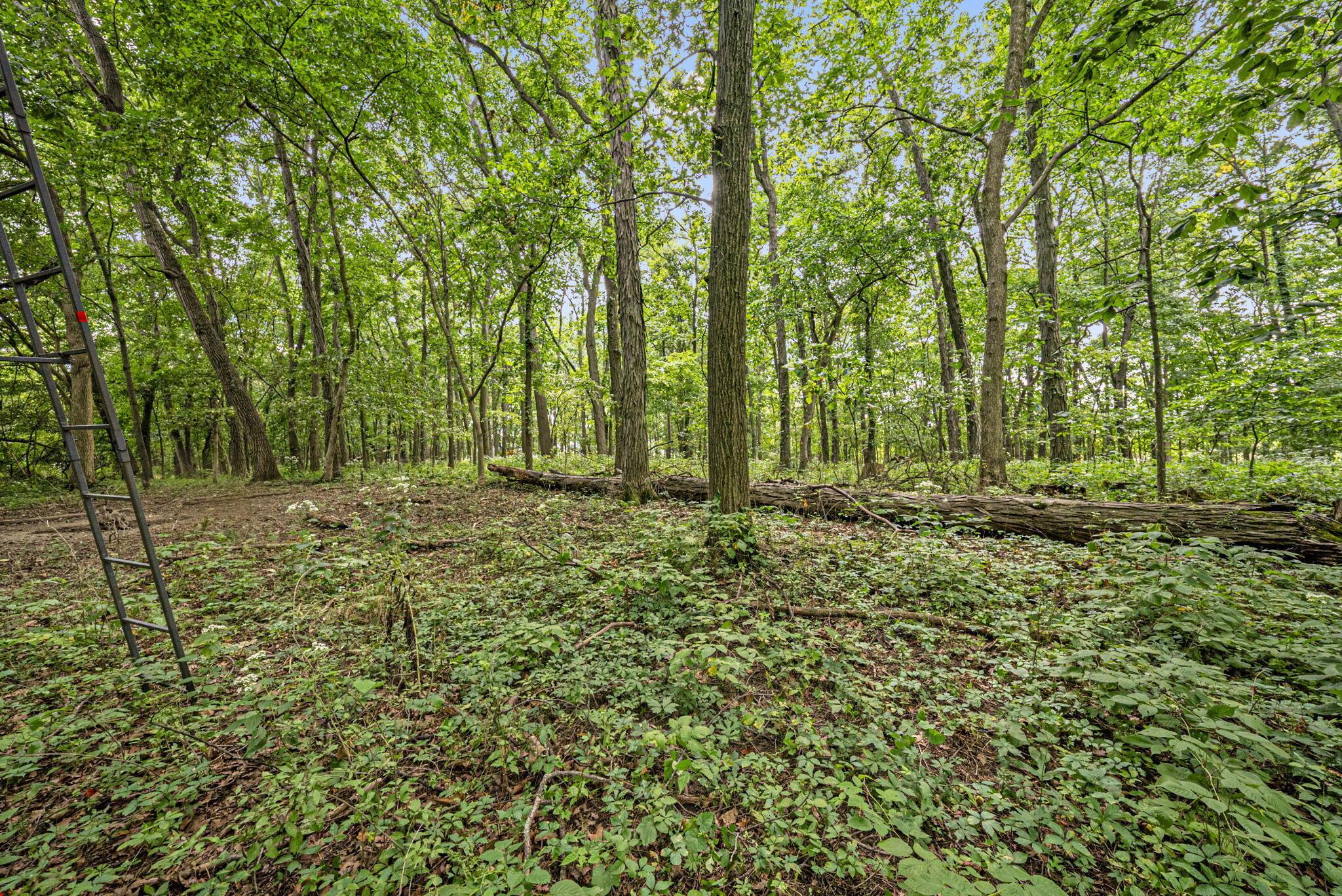 0 Likens Road Marion, OH 43302 - Photo 51 of 88 49-web-or-mls-DSC07041