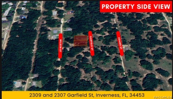 2309 Garfield Street Inverness, FL 34453 - Photo 4 of 20 Gallery Image 4