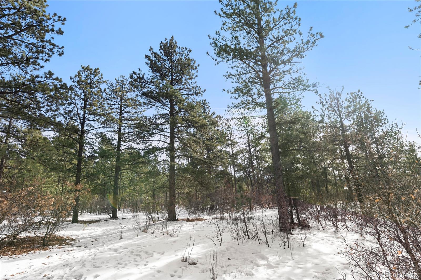 0 Lindbergh Road Monument, CO 80132 - Photo 8 of 13 Gallery Image 8