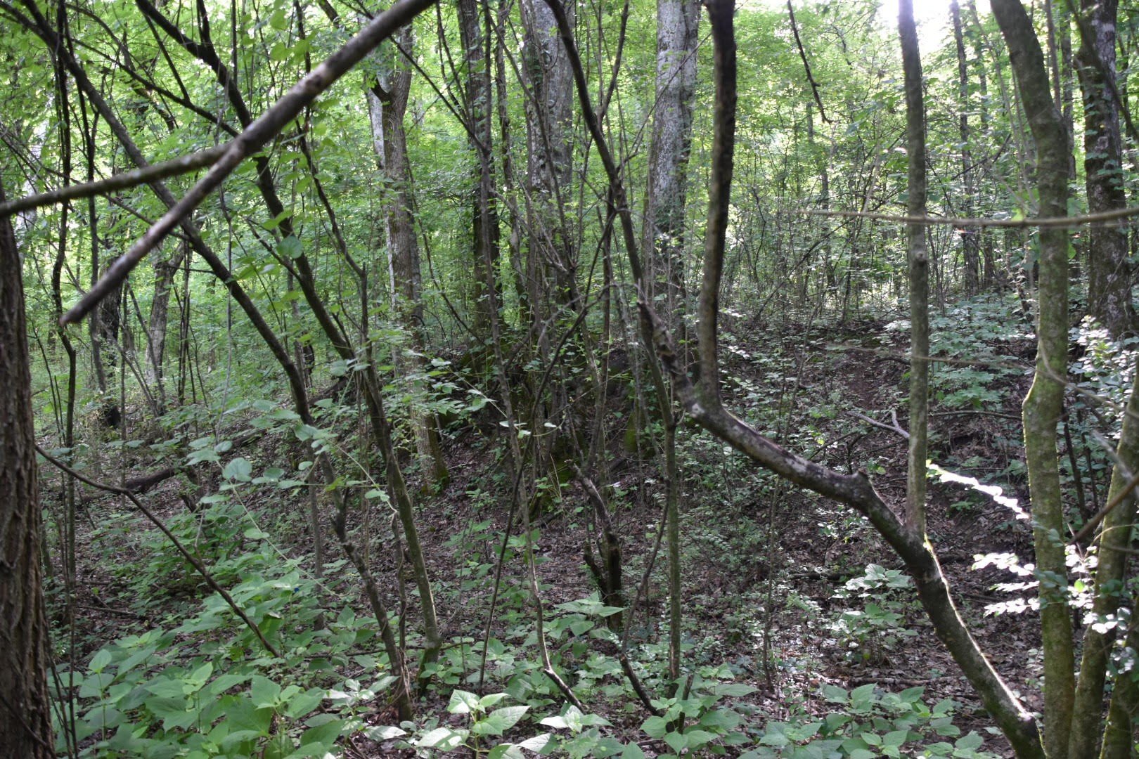 0 Poplar Hill Road Prospect, TN 38477 - Photo 9 of 9