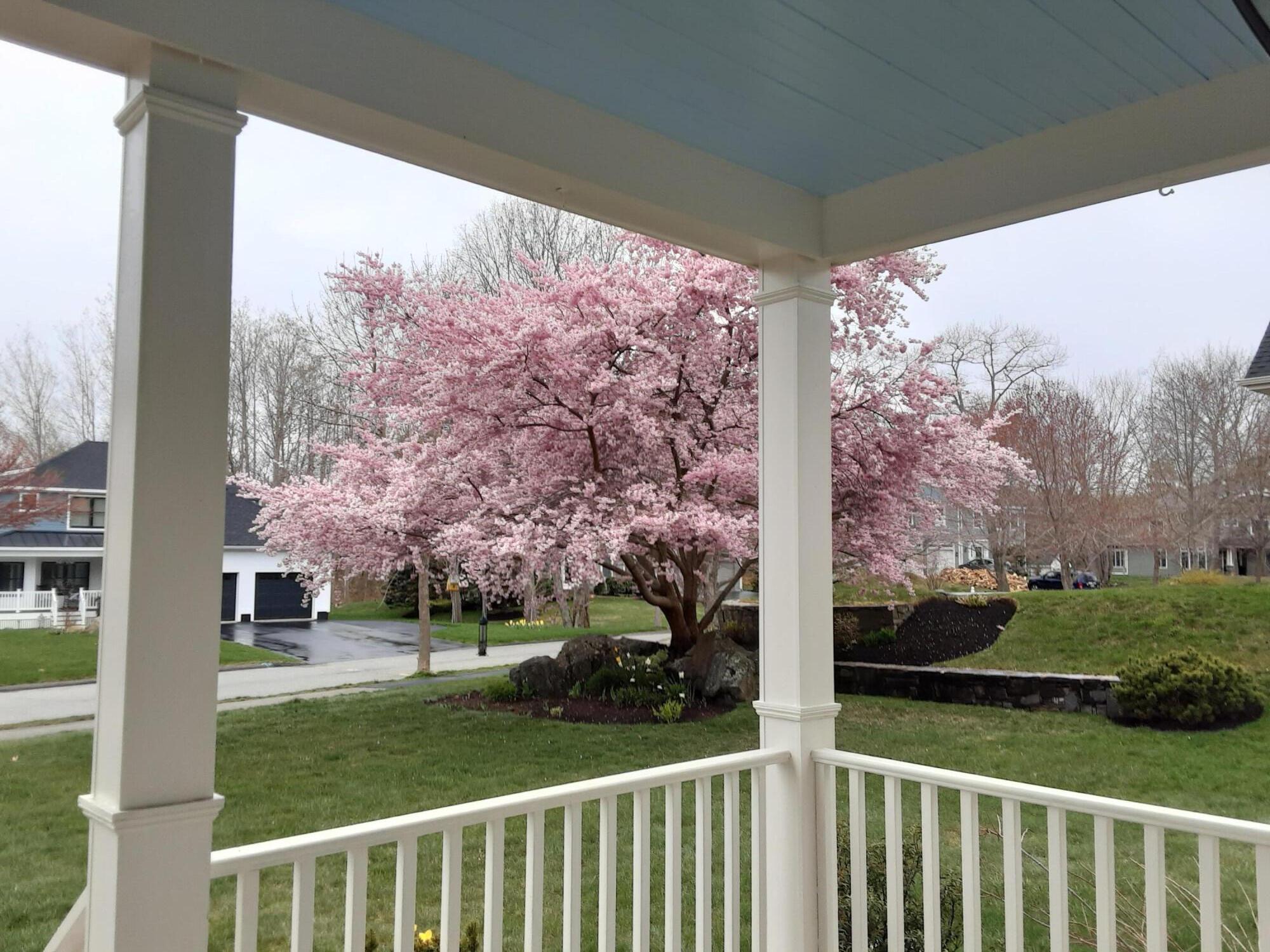 17 Cross Hill Road Cape Elizabeth, ME 04107 - Photo 52 of 64 20210428_095845