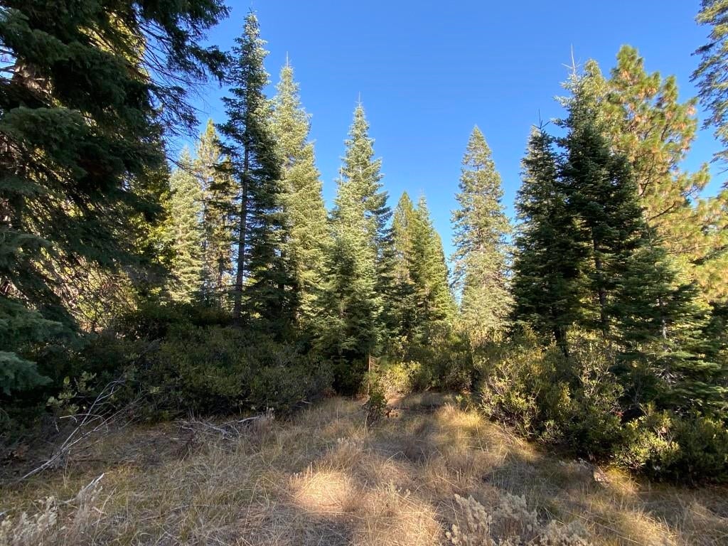 3-e-41 Red Fir Road McCloud, CA 96057 - Photo 6 of 38 Gallery Image 6