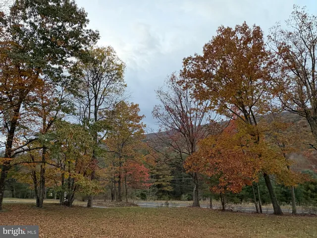 a view of outdoor space and yard
