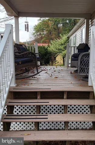 a view of a trees from a roof deck