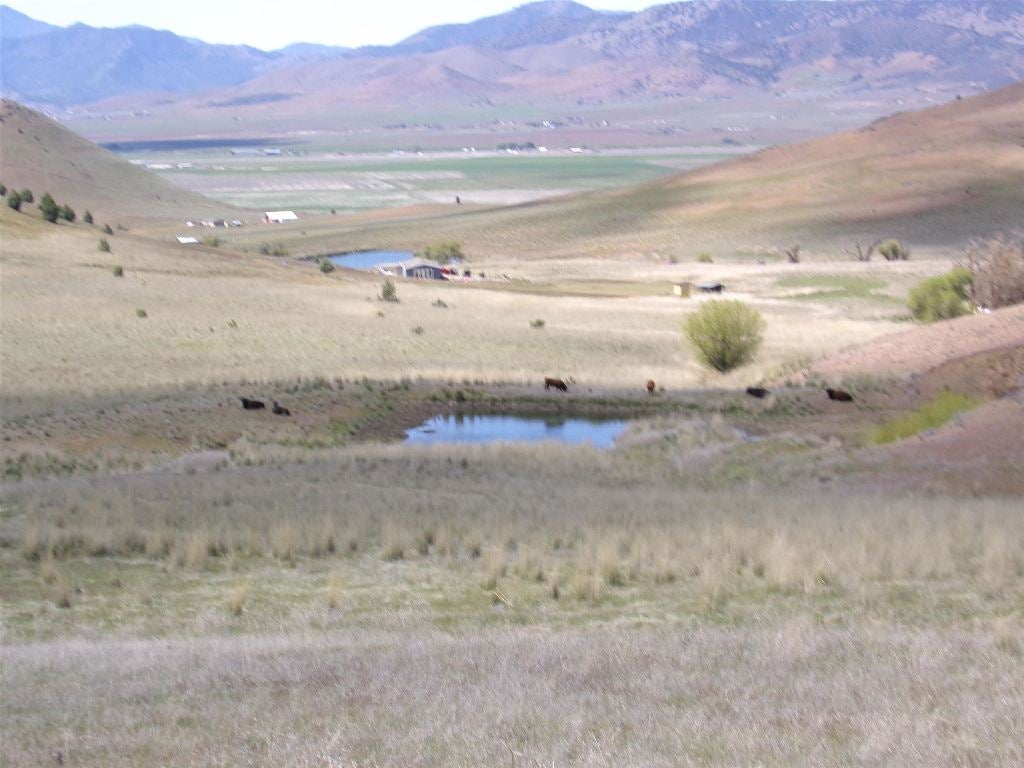 Xox Townsend Road Weed, CA 96034 - Photo 6 of 12 Gallery Image 6