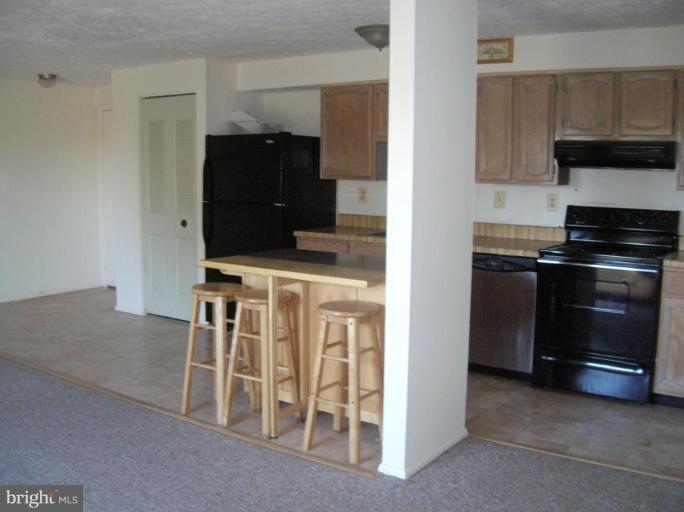 600 Heather Ridge Drive, Unit K Frederick, MD 21702 - Photo 4 of 8 Kitchen #2