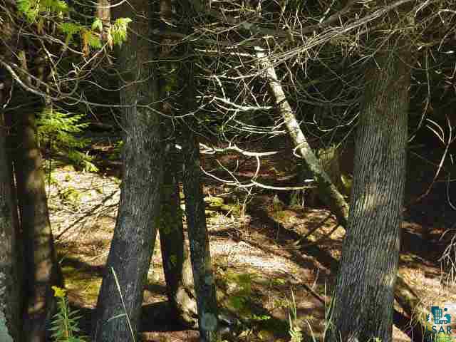 Lot 1 Tierra Road Cornucopia, WI 54827 - Photo 2 of 3 Gallery Image 2