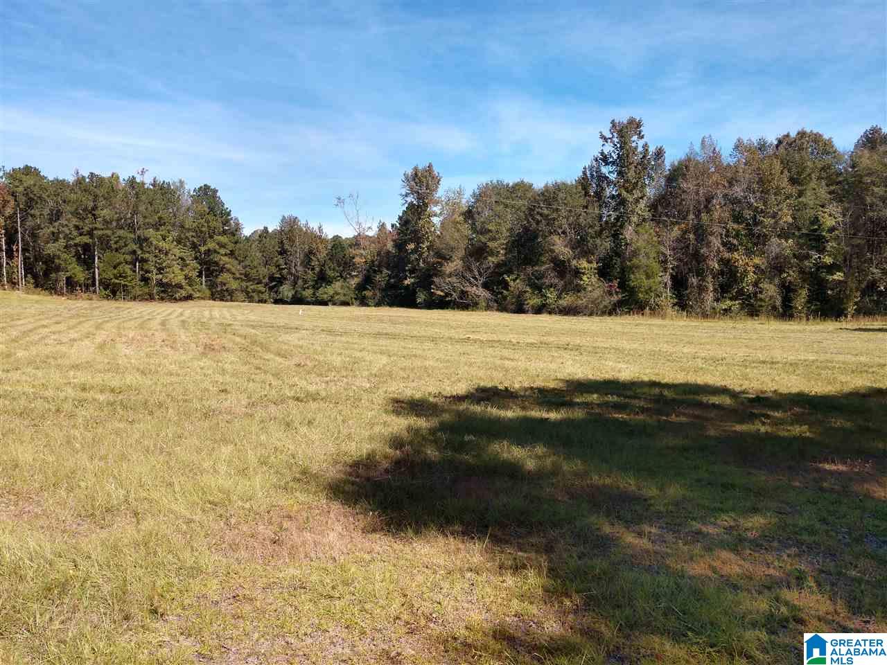 5403 County Road 41 Clanton, AL 35046 - Photo 8 of 12