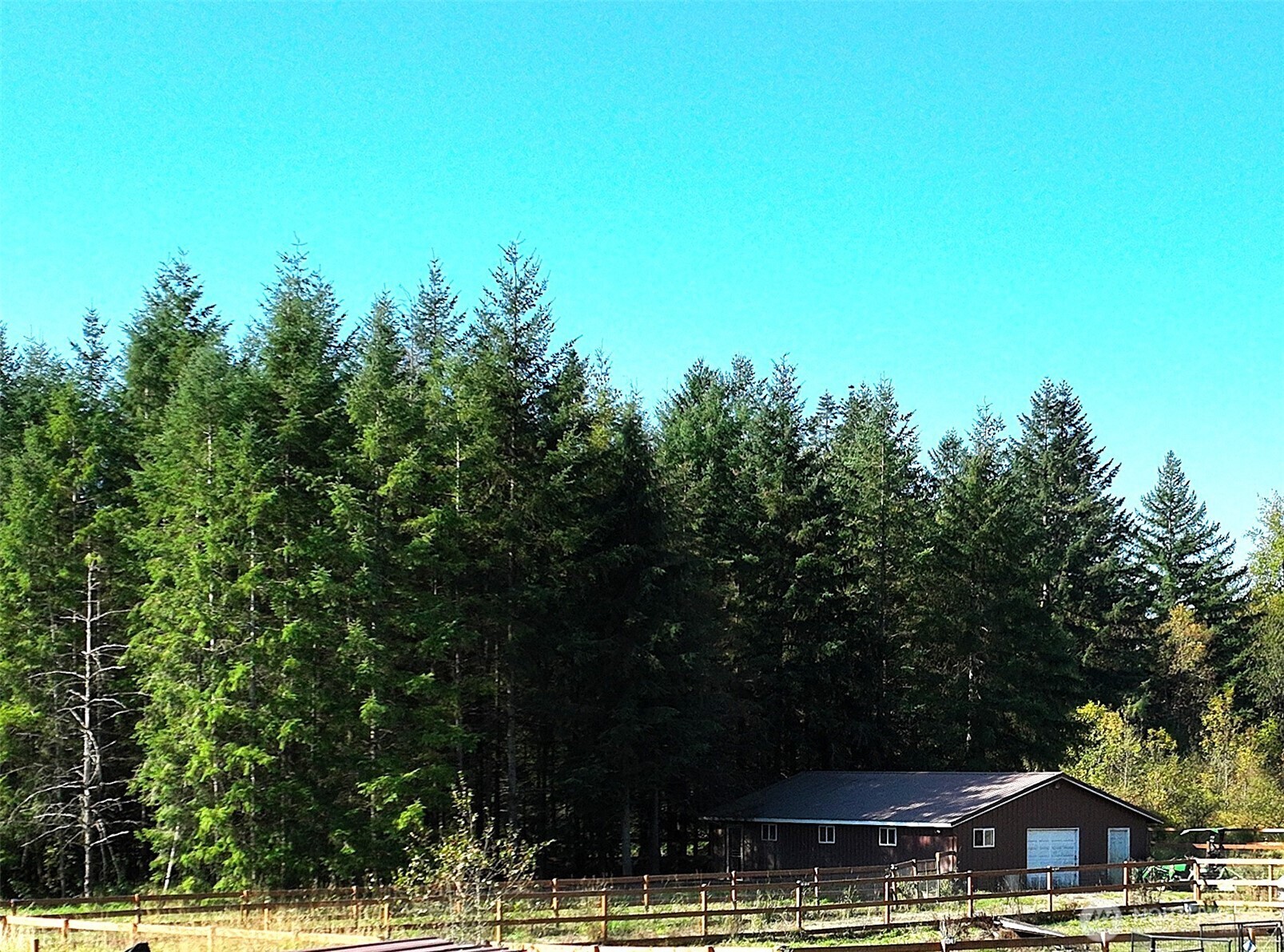 205 Stub Road Onalaska, WA 98570 - Photo 18 of 36