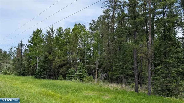 $20,000 | Tbd Tbd Vermilion Trail, Aurora, MN 55705