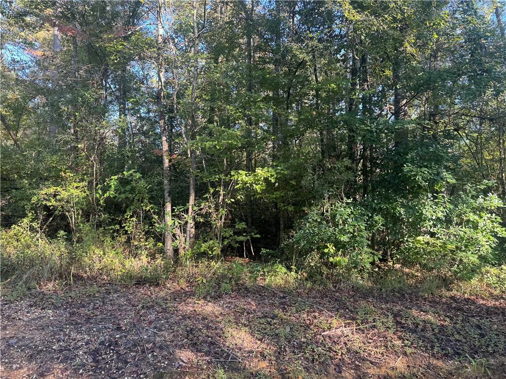 25397 Taylor Creek Road Amite, LA 70422 - Photo 2 of 4