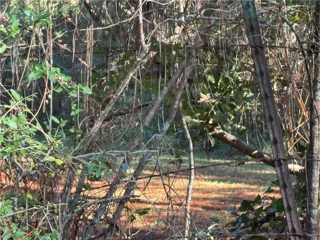 $222,000 | 25397 Taylor Creek Road, Amite, LA 70422