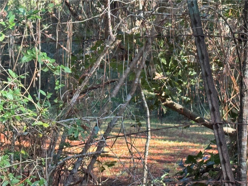 25397 Taylor Creek Road Amite, LA 70422 - Photo 3 of 4