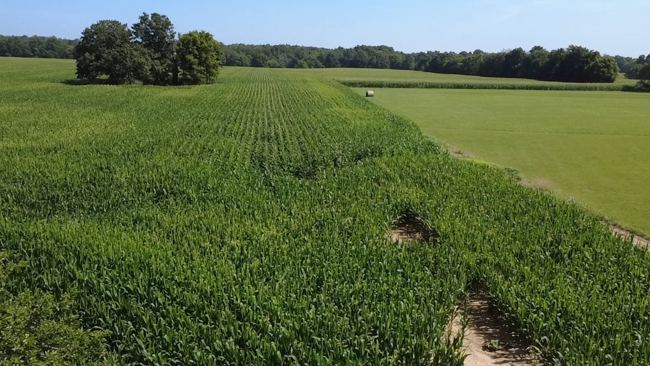 0 East Richview Road Mount Vernon, IL 62864 - Photo 7 of 7