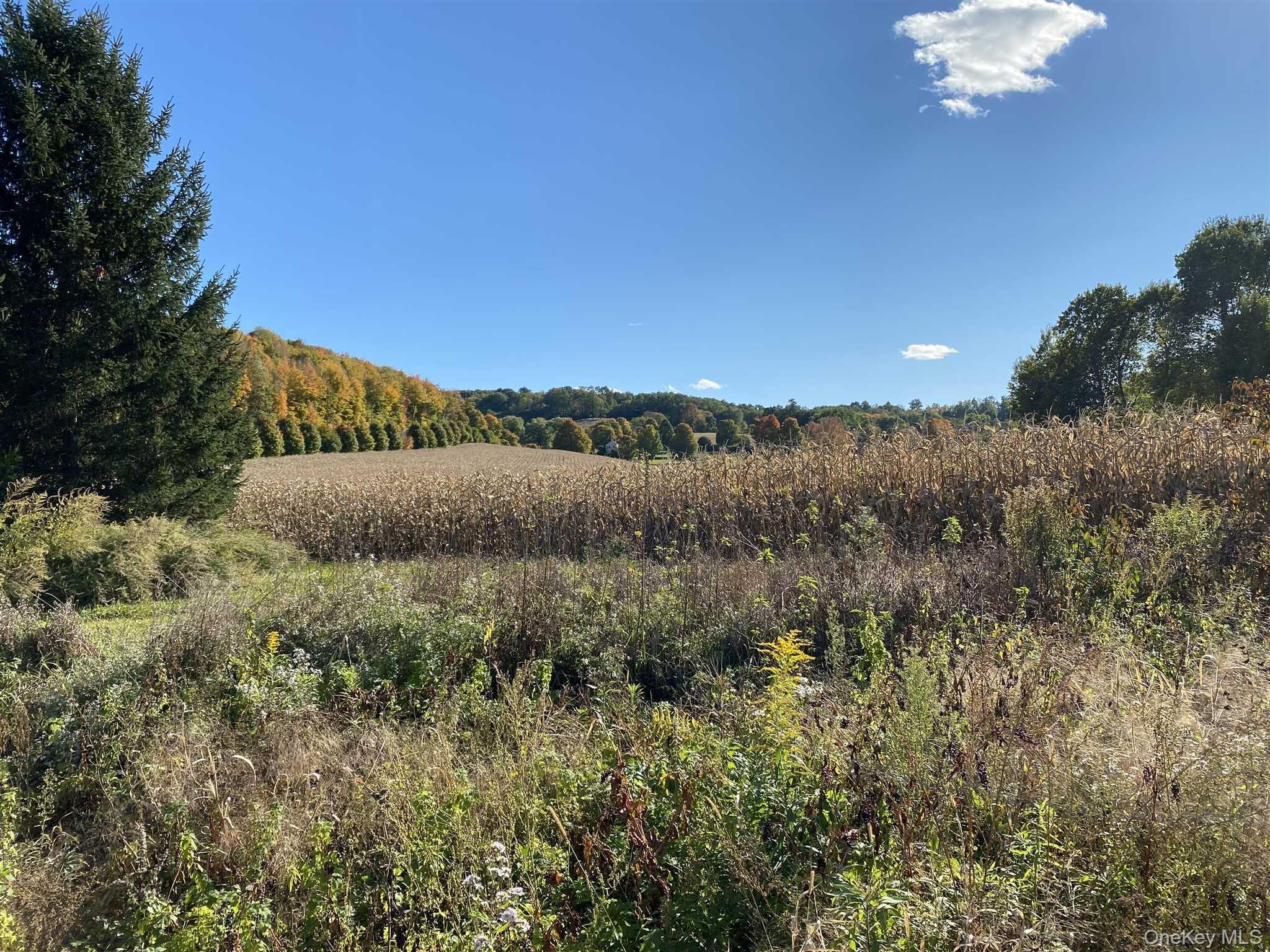 417 Tripp Road Millerton, NY 12546 - Photo 6 of 18 Unobstructed Views