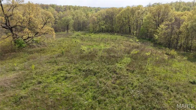 $289,900 | 0 County Road 261, Advance, MO 63730