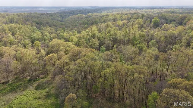 $289,900 | 0 County Road 261, Advance, MO 63730