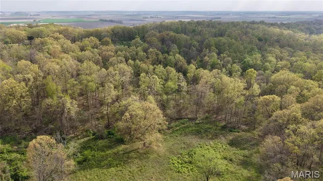 $289,900 | 0 County Road 261, Advance, MO 63730