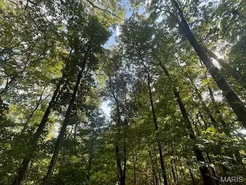 $289,900 | 0 County Road 261, Advance, MO 63730