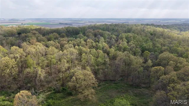 $289,900 | 0 County Road 261, Advance, MO 63730