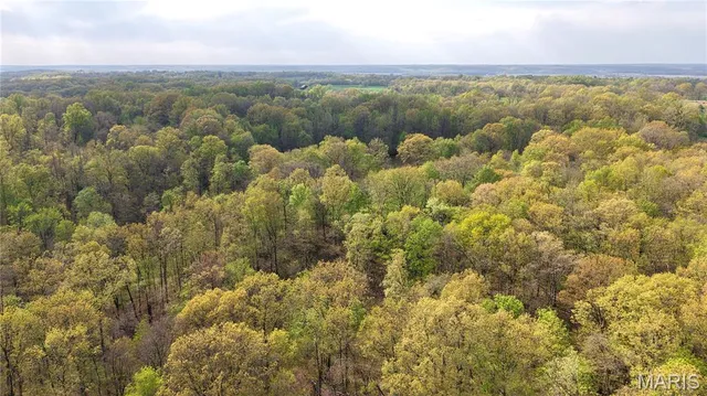 $289,900 | 0 County Road 261, Advance, MO 63730