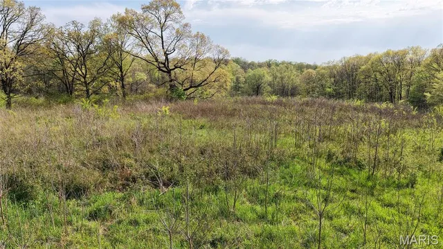 $289,900 | 0 County Road 261, Advance, MO 63730