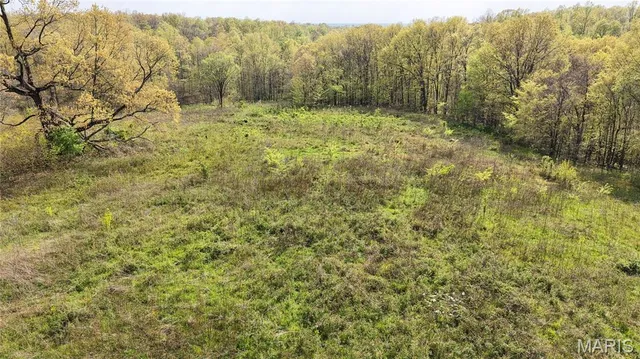 $289,900 | 0 County Road 261, Advance, MO 63730