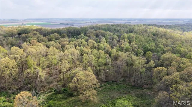 $289,900 | 0 County Road 261, Advance, MO 63730