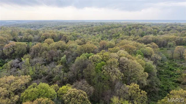 $289,900 | 0 County Road 261, Advance, MO 63730