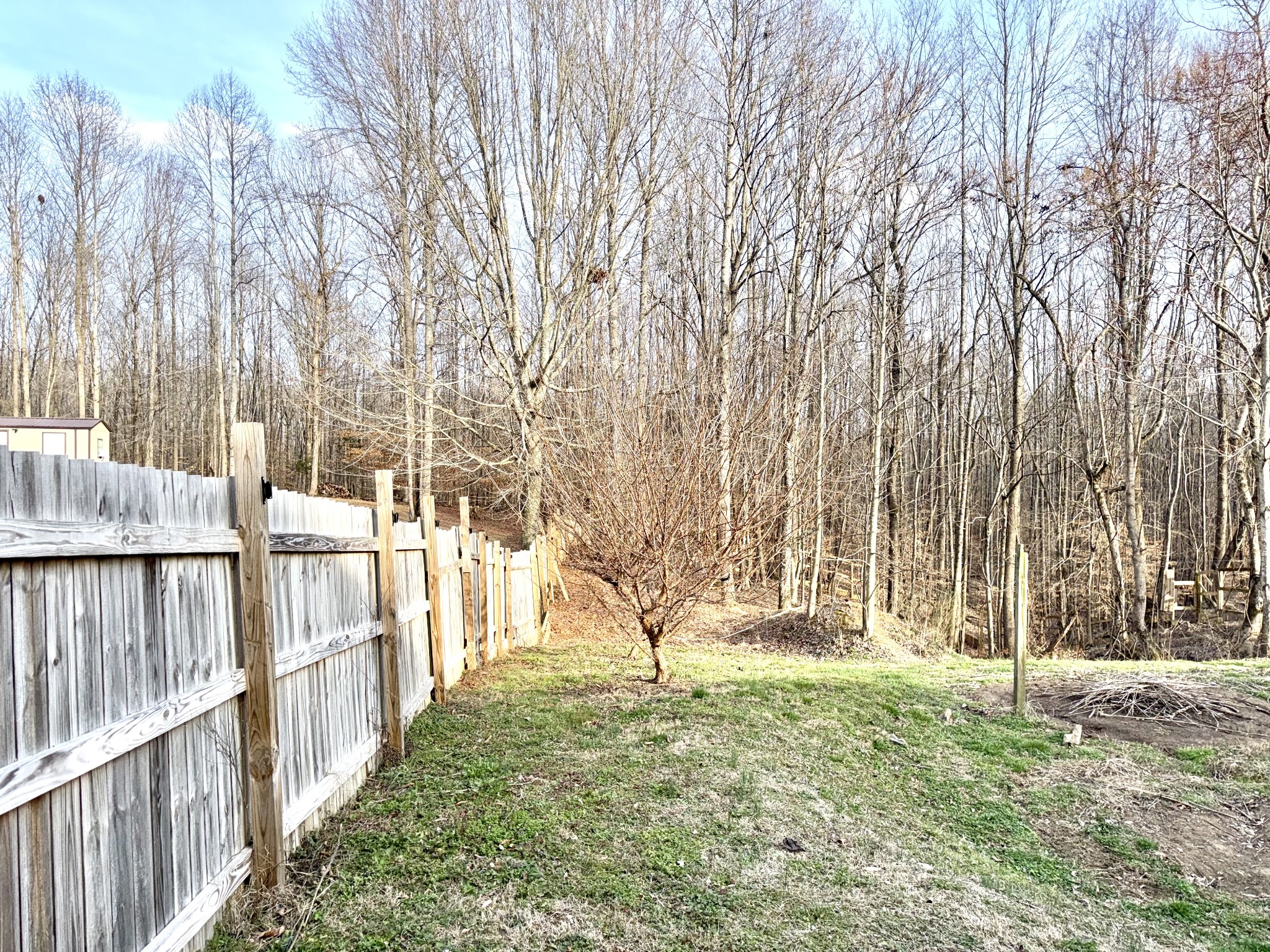 225 Lake Forrest Road Lynchburg, TN 37352 - Photo 8 of 60