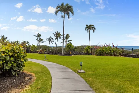 a view of a park with palm trees