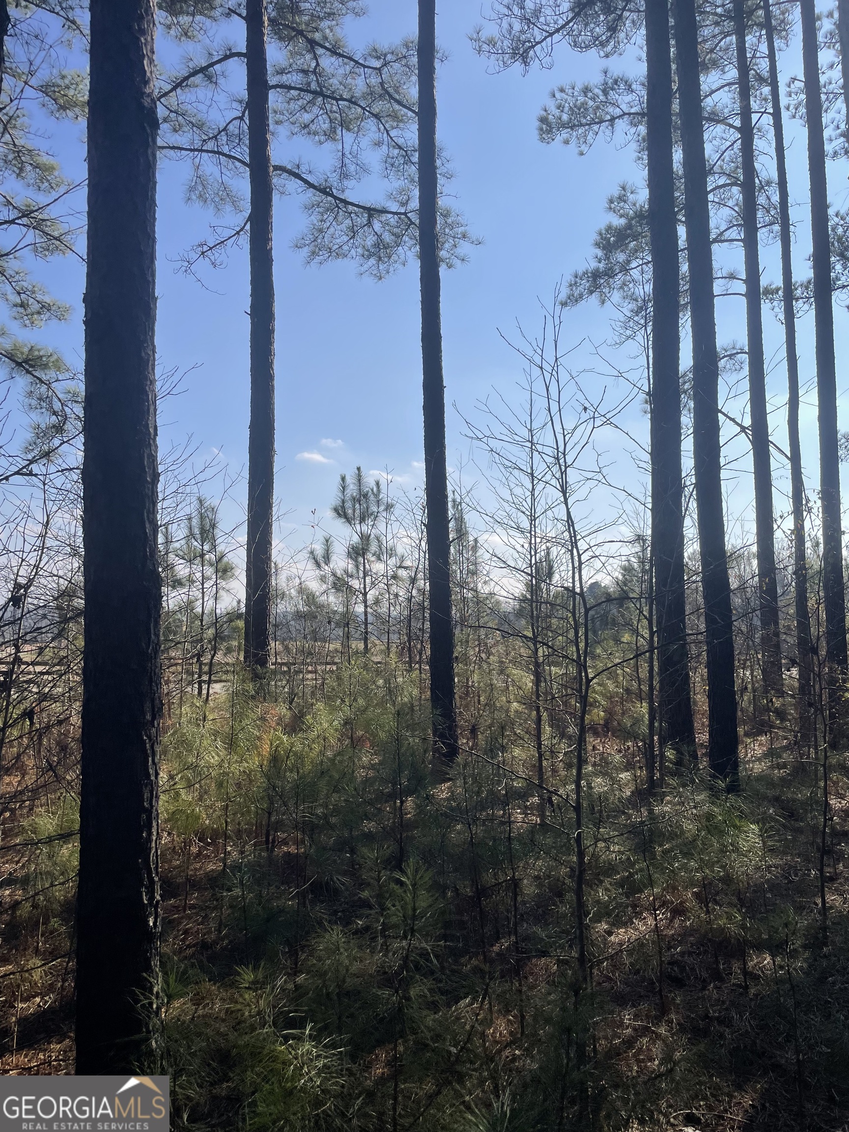 0 Hebron Church Road, Unit 1 Thomaston, GA 30286 - Photo 1 of 1