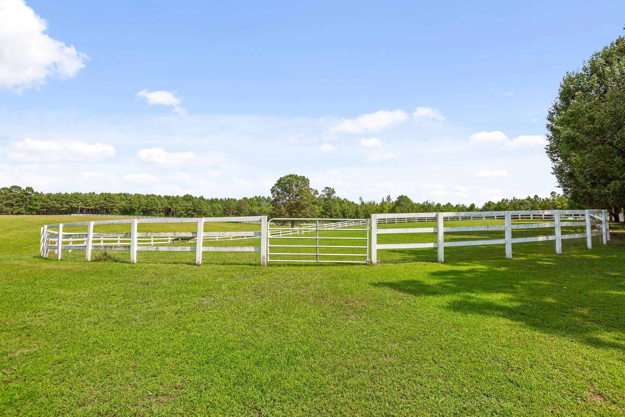 304 Southwest County 182 Road Cedar Bluff, AL 35959 - Photo 41 of 70 Gallery Image 41
