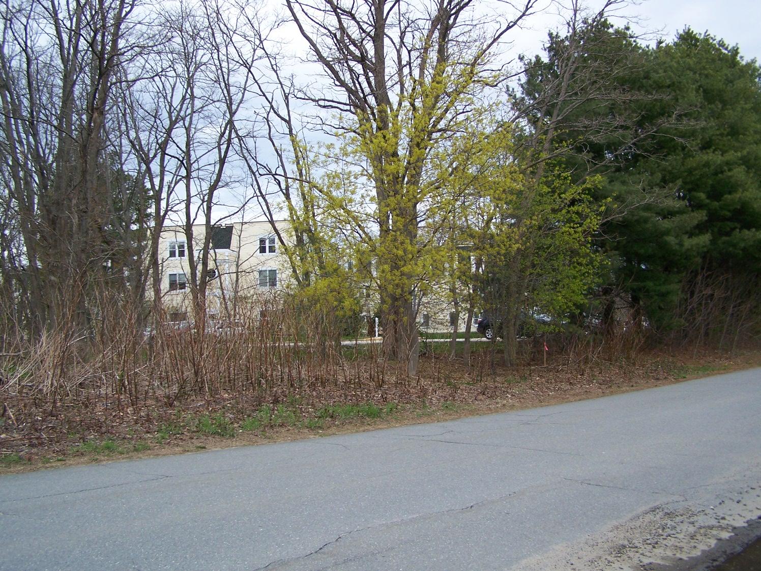 0 Johnson Road Gorham, ME 04038 - Photo 2 of 6 100_8002