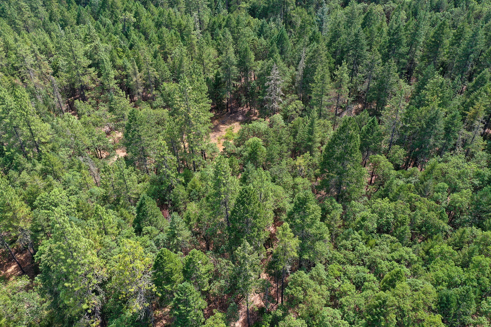 0 Fields Road Williams, OR 97544 - Photo 16 of 21 DJI_0270