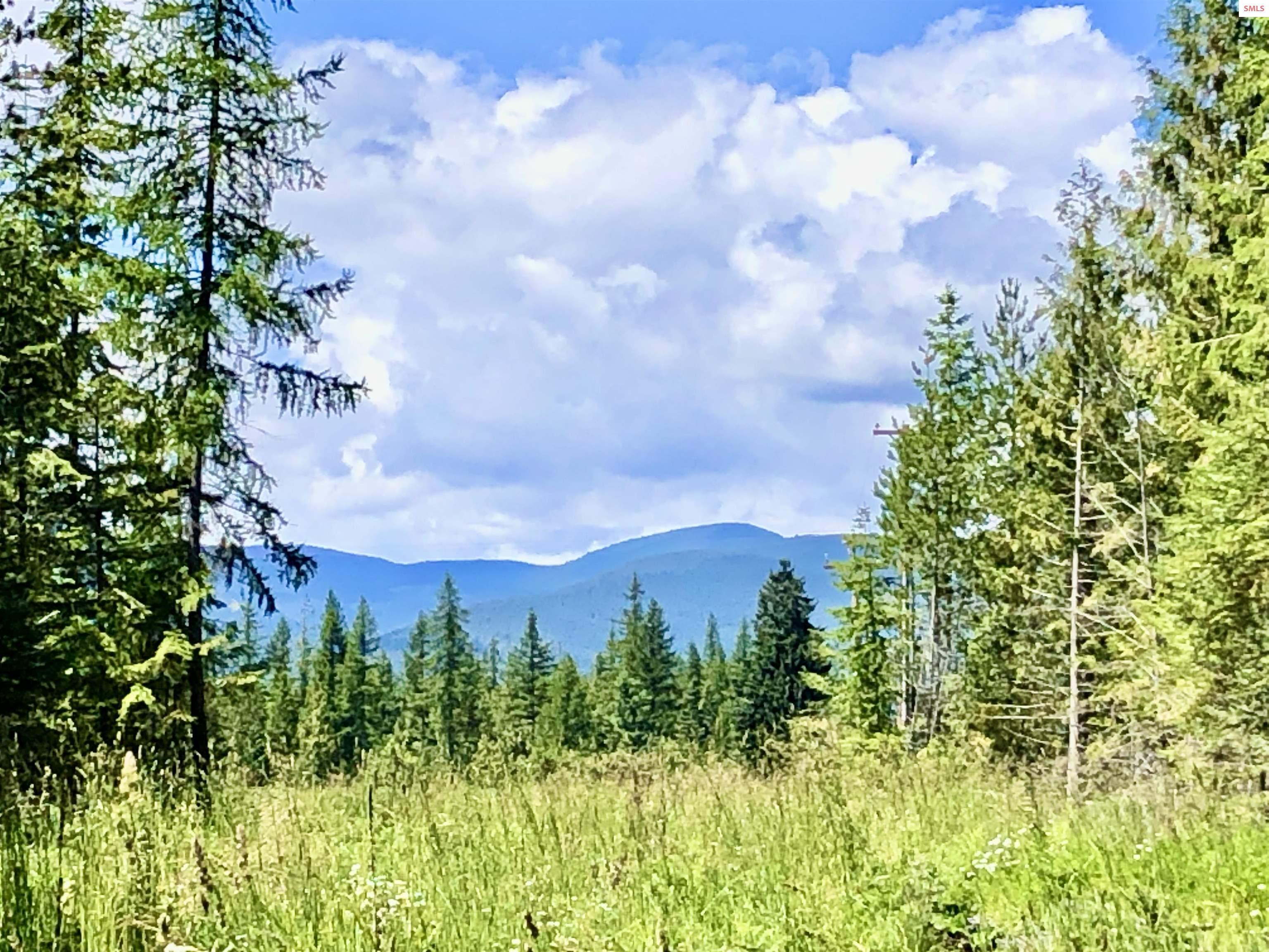 4 Lost Mile Road Naples, ID 83847 - Photo 15 of 37