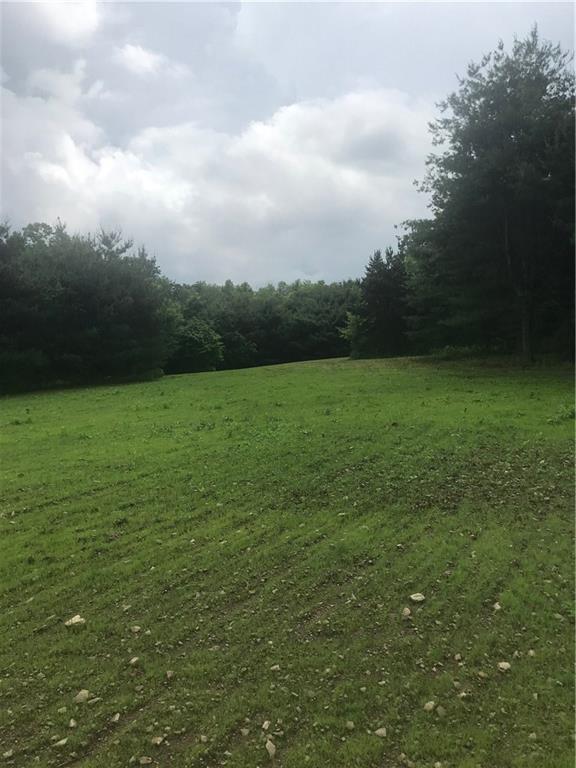 243 Bailey Road Sagamore, PA 16250 - Photo 1 of 6
