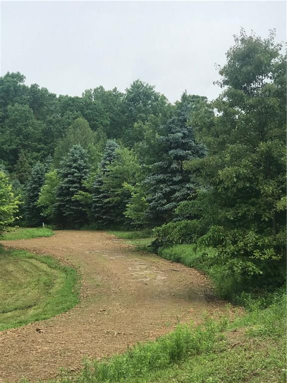 243 Bailey Road Sagamore, PA 16250 - Photo 3 of 6