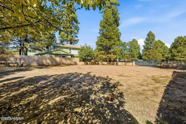 a view of a bunch of trees and flowers