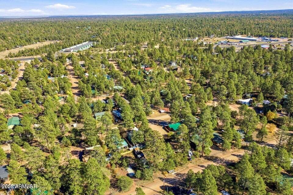 2880 Paint Pony Lane Overgaard, AZ 85933 - Photo 38 of 39 38