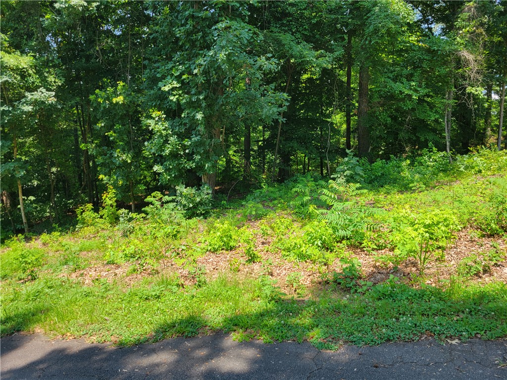 0 Fox Fire Road Central, SC 29630 - Photo 4 of 10