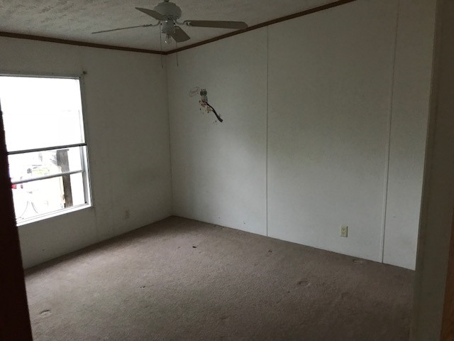 785 Barnes Lake Road Middlesex, NC 27557 - Photo 4 of 17 Photo 4