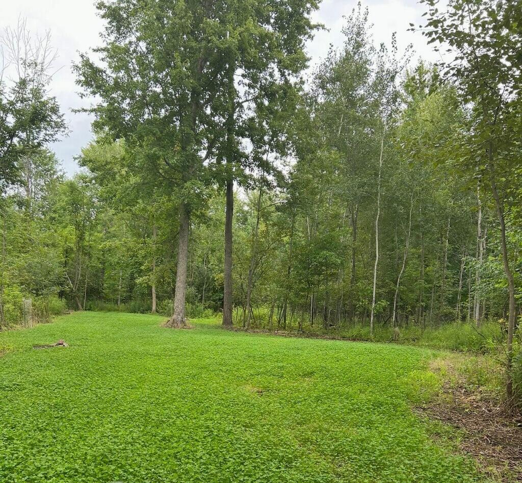 3776 North Sturgeon Road Midland, MI 48642 - Photo 7 of 41 5793161550925648229