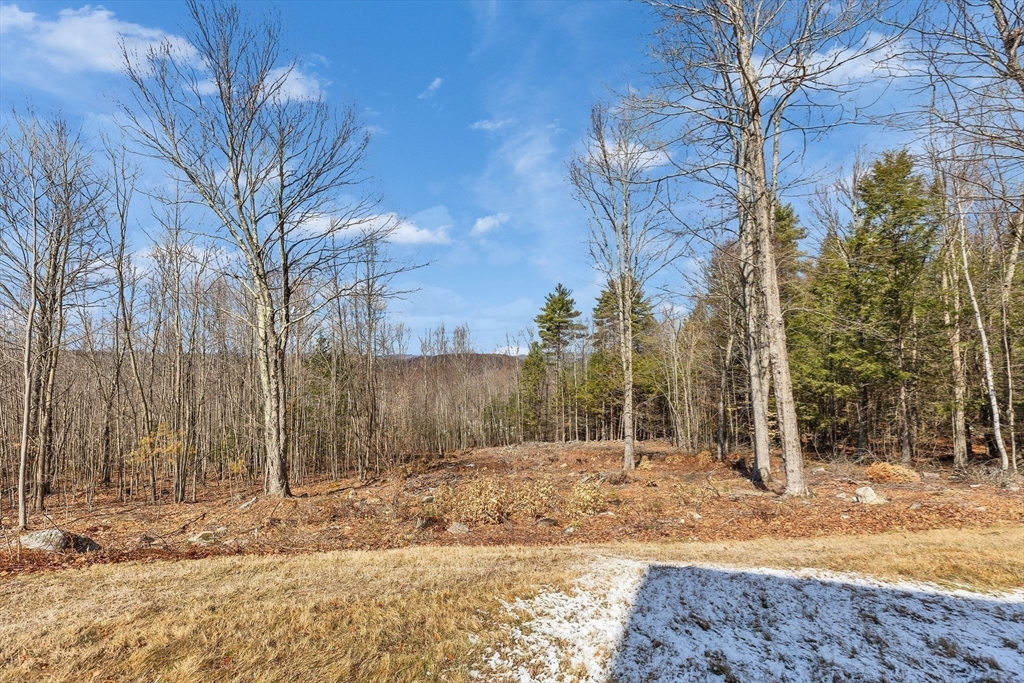 189 Byam Road New Boston, NH 03070 - Photo 37 of 38
