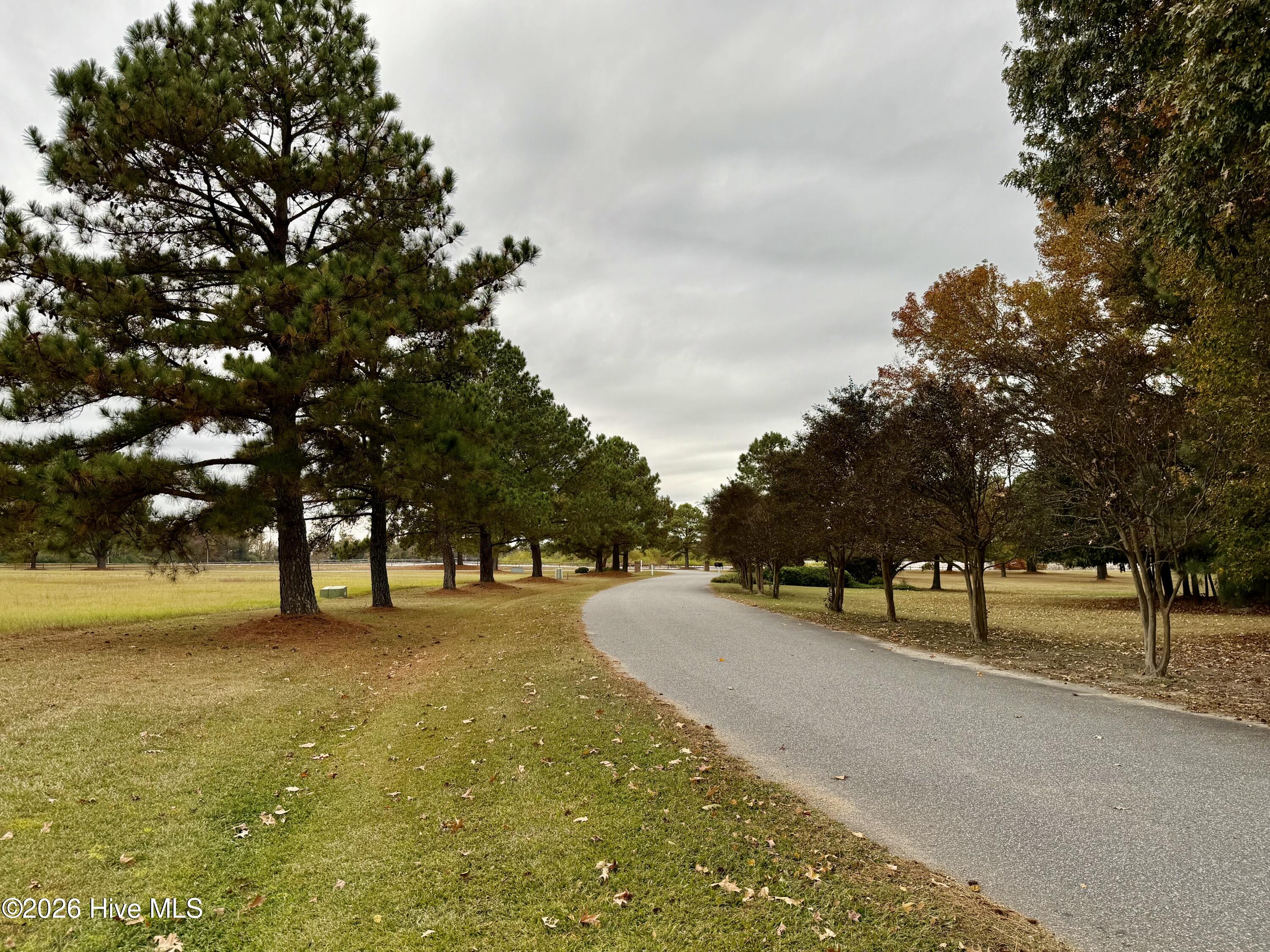 112 Mallard Cove Road Edenton, NC 27932 - Photo 5 of 6 Entering the neighborhood. Beautiful drive!
