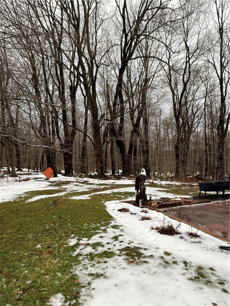 1056 Minard Run Road Rew, PA 16744 - Photo 30 of 50 Rear lawn with wooded area