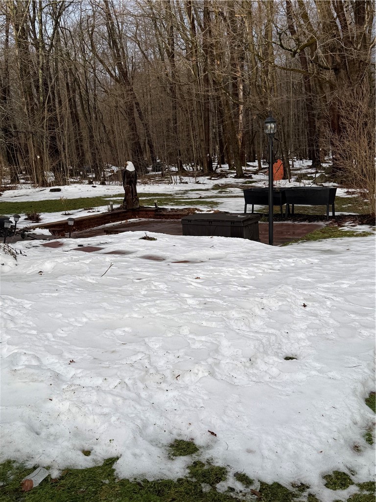 1056 Minard Run Road Rew, PA 16744 - Photo 47 of 50 Rear patio